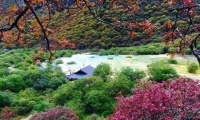 格鲁吉亚旅游须知